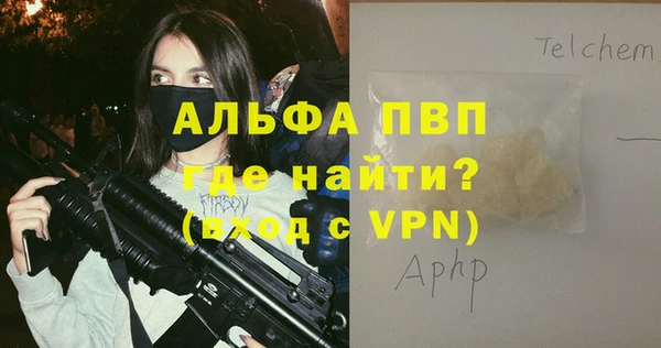 хмурый Алексин