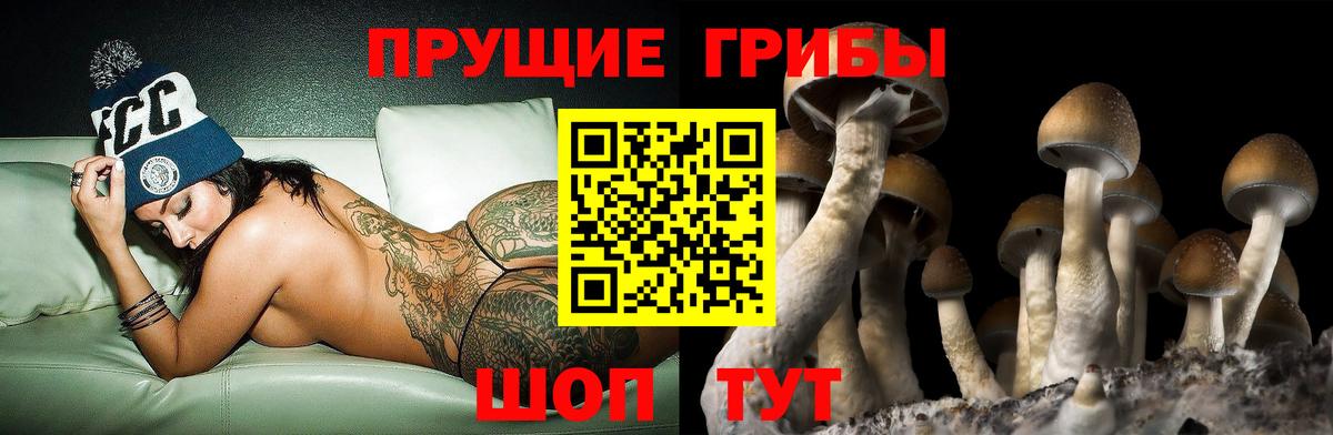 Галлюциногенные грибы мицелий Кизилюрт