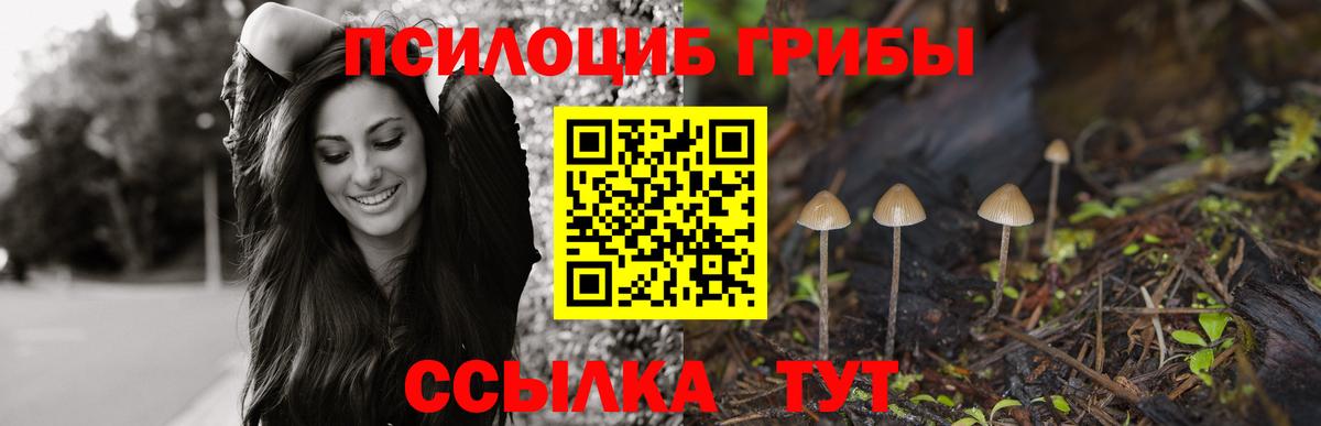 Кизилюрт  Псилоцибиновые грибы GOLDEN TEACHER  Вход с VPN  Галлюциногенные грибы Magic Shrooms 