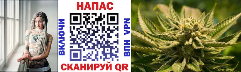 Шишки марихуана тримм  дарнет шоп  Кизилюрт 